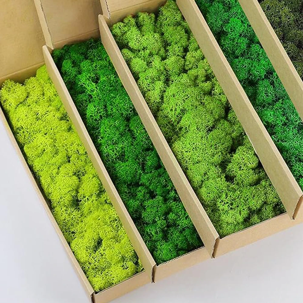 Sphagnum Moss Dry - 20-200g 인공 녹색 식물 가짜 잔디