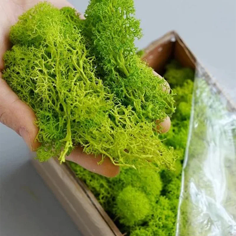 20-200g 인공 녹색 식물 가짜 잔디 영원한 생명  - Sphagnum Moss Dry 리뷰 및 가격